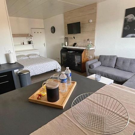 Studio Cocooning Hauteur De Saint-Raphael #2 Exterior foto