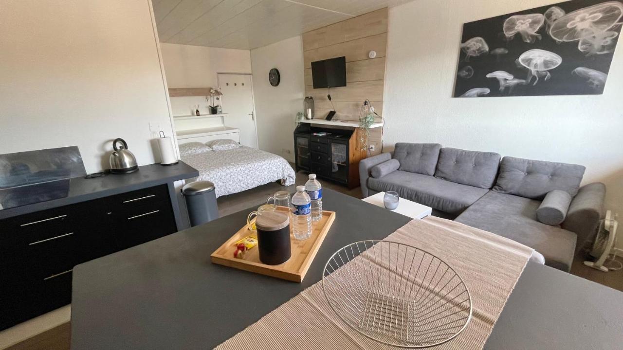 Studio Cocooning Hauteur De Saint-Raphael #2 Exterior foto